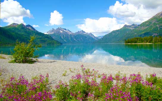 Seguro de viaje al parque nacional del lago Clark